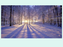 Описание природы. Зима (урок развития речи), слайд 21