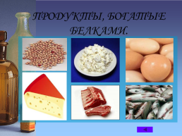 Химия питания: белки, жиры, углеводы, слайд 5