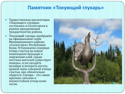 Памятники Сосногорска, слайд 20
