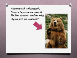 Животные Южного Урала, слайд 17