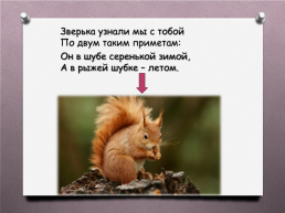 Животные Южного Урала, слайд 18