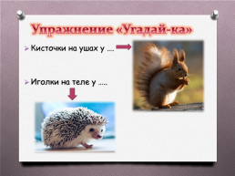 Животные Южного Урала, слайд 2