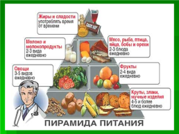 Питание и здоровье, слайд 8