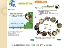 Формирование функциональной грамотности на уроках английского языка в начальной школе, слайд 8