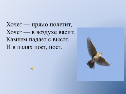 Международный день птиц, слайд 11