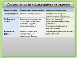 Группы растений: сравнительная характеристика отделов, классов и семейств высших растений, слайд 3