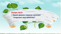 Викторина «Русская берёза», слайд 44