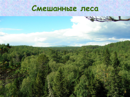 Западная Сибирь, слайд 32