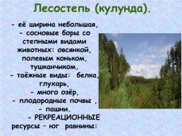 Западная Сибирь, слайд 33