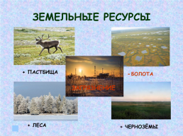 Западная Сибирь, слайд 40
