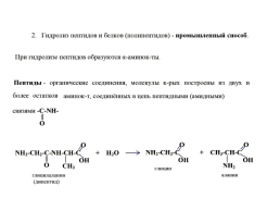 Аминокислоты, слайд 15