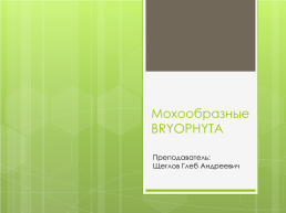 Мохообразные bryophyta, слайд 1