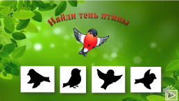 Интерактивная игра «птицы», слайд 4