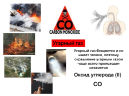 Углерод-основа жизни на земле, слайд 9