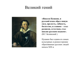Проект по родной литературе понимаем ли мы язык А.С. Пушкина, слайд 3