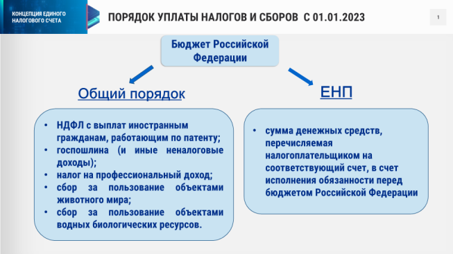 Особенности перехода на ЕНС, риски сбалансированности бюджета субъектов российской федерации