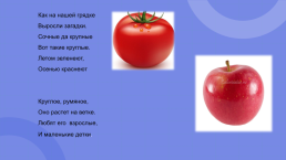Овощи и фрукты - полезные продукты, слайд 4