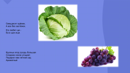 Овощи и фрукты - полезные продукты, слайд 7