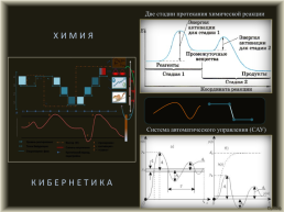 Нулевой системный паттерн и принципы самоорганизации динамических систем, слайд 8