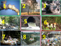 Урок окружающий мира по теме «Экологическая безопасность», слайд 10
