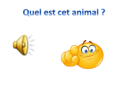 Урок французского языка в 5-м классе по теме Животные, слайд 13