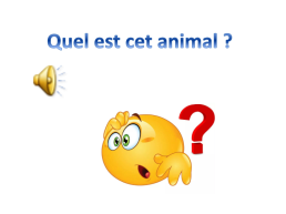 Урок французского языка в 5-м классе по теме Животные, слайд 9