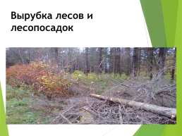 Экологические проблемы села Новая Усмань, слайд 8