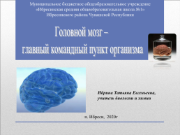 Головной мозг – главный командный пункт организма, слайд 1