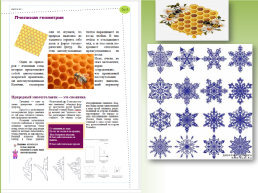 Методическая разработка урока математики по теме Многоугольники. 5-й класс, слайд 17