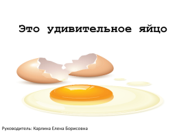 Это удивительное яйцо, слайд 1