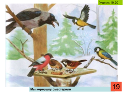 Классный час Покормите птиц зимой. 1-й класс, слайд 19