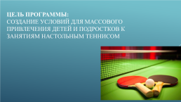 Программа дополнительного образования «Настольный теннис» (представление педагогического опыта), слайд 3