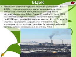 Производство бумаги на территории Иркутской области, слайд 12