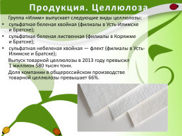 Производство бумаги на территории Иркутской области, слайд 9