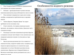 Северная Двина – жемчужина севера, слайд 10
