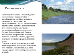 Северная Двина – жемчужина севера, слайд 14