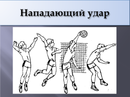 Волейбол спортивная игра, слайд 9