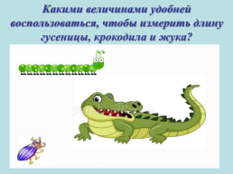 Какими величинами удобней воспользоваться, чтобы измерить длину гусеницы, крокодила и жука?, слайд 1