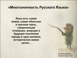 «Многозначность русского языка», слайд 1