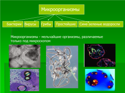 Селекция микроорганизмов, слайд 3
