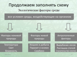 Экологические факторы среды, слайд 12