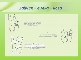 Кинезиологические упражнения в работе с дошкольниками, слайд 15