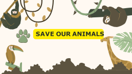 Save our animals, слайд 1