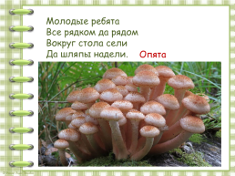 В. Берестов «Хитрые грибы», слайд 15