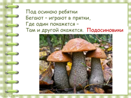 В. Берестов «Хитрые грибы», слайд 16
