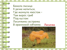 В. Берестов «Хитрые грибы», слайд 17