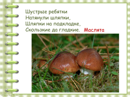 В. Берестов «Хитрые грибы», слайд 19