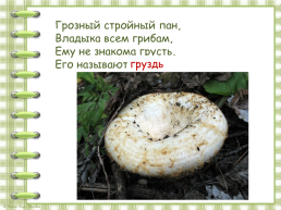 В. Берестов «Хитрые грибы», слайд 20