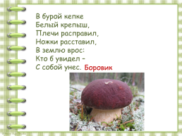 В. Берестов «Хитрые грибы», слайд 21