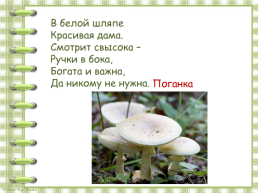 В. Берестов «Хитрые грибы», слайд 22